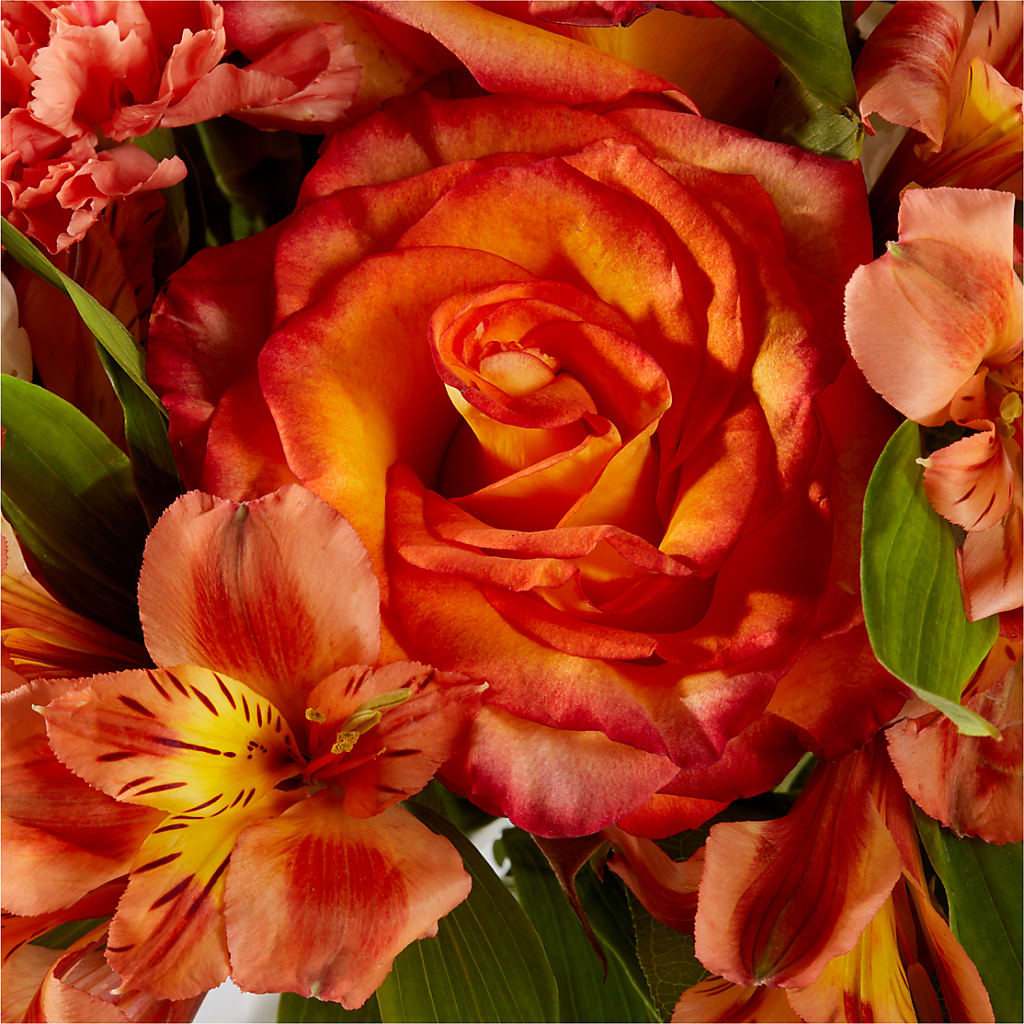 Apricot Glow Bouquet –  Jewel, Itasca IL