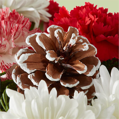 Candy Cane Lane Bouquet –  Jewel, Itasca IL