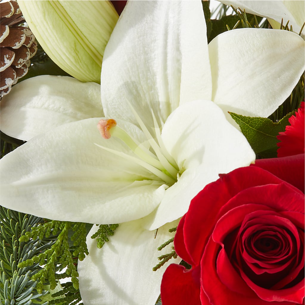 Oh So Jolly Bouquet –  Jewel, Itasca IL