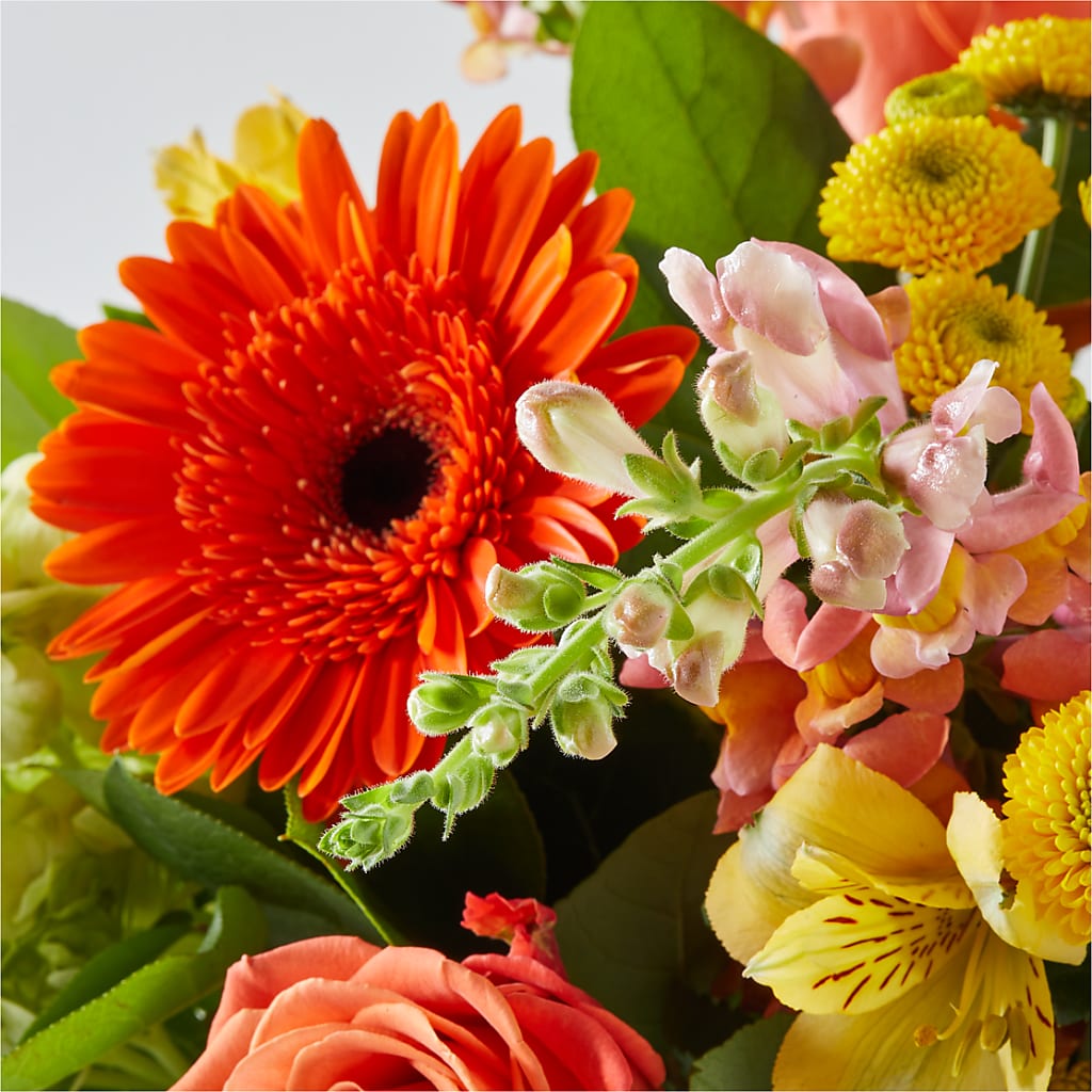 Autumn Sunshine Bouquet –  Jewel, Itasca IL