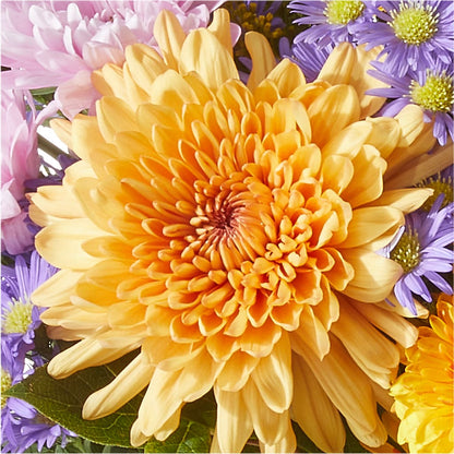 Countryside Bouquet –  Jewel, Itasca IL