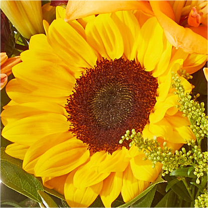 Seasons Change Bouquet –  Jewel, Itasca IL