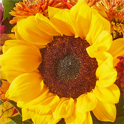 Sunny Side Bouquet –  Jewel, Itasca IL