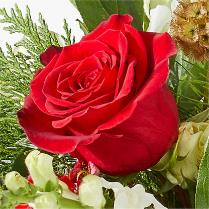 Deck the Halls Bouquet –  Jewel, Itasca IL