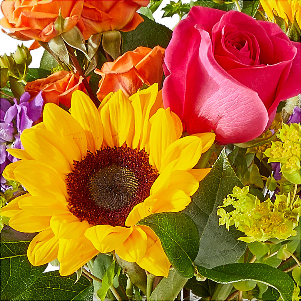 Vibrant Greetings Bouquet –  Jewel, Itasca IL