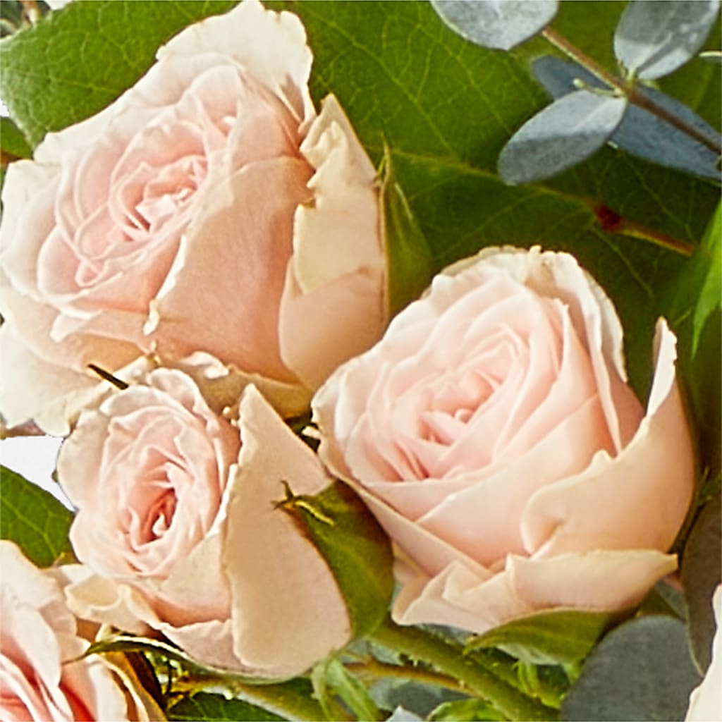 Inspired Bouquet –  Jewel, Itasca IL