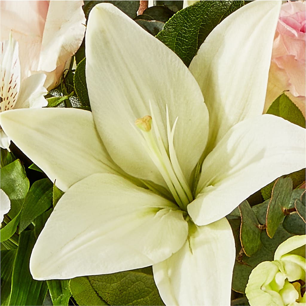 Ballet Slippers Bouquet –  Jewel, Itasca IL