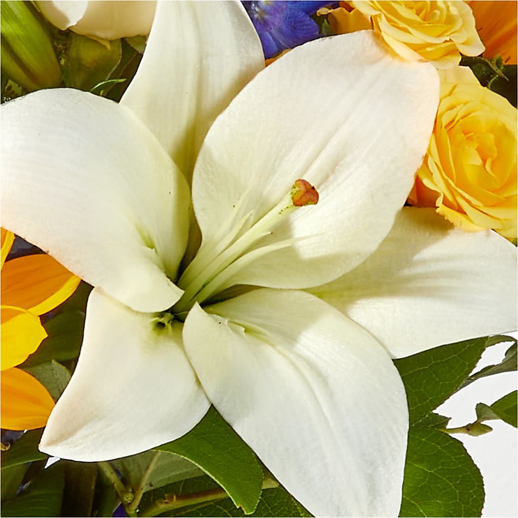 Wonderfully Sunny Bouquet –  Jewel, Itasca IL