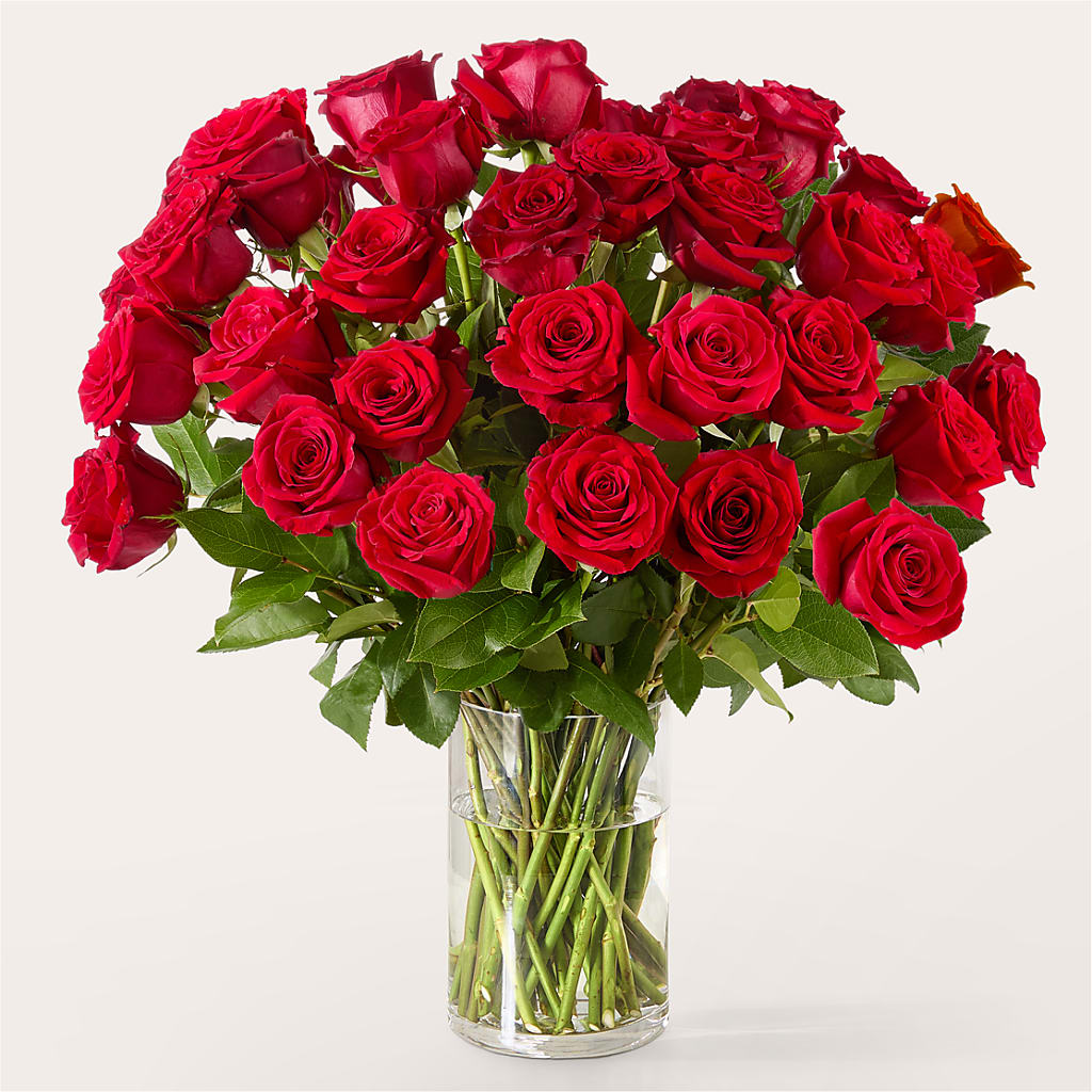 The One Red Rose Bouquet –  Jewel, Itasca IL