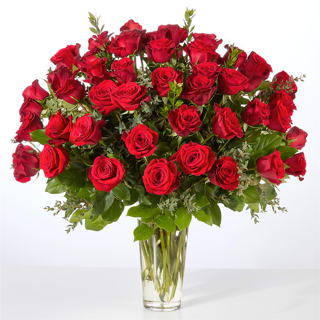 Forever Yours Fifty Stem Red Rose Bouquet –  Jewel, Itasca IL